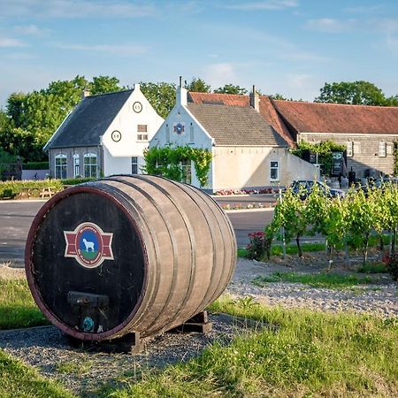 Wine-Barrel Rivaner Dreischor Exterior foto